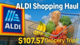 ALDI Grocery Shopping Haul - I Spent 107 in Hoffman Estates Illinois Nov2025