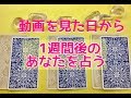 1週間後のあなたの姿🌙目標達成できているかな?🌙タロット占い