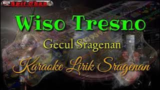 Wiso Tresno || Karaoke Lirik Gecul Sragenan || Cokek Mania