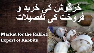 In this video of farming tips i briefed my audience about the methods
for rabbit sale pakistan. it's export to other countries is also
briefed. some th...