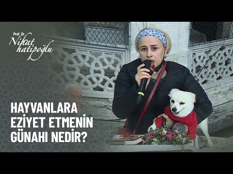 Hayvanlara eziyet etmenin günahı nedir? - Nihat Hatipoğlu ile Kur'an ve Sünnet 311. Bölüm