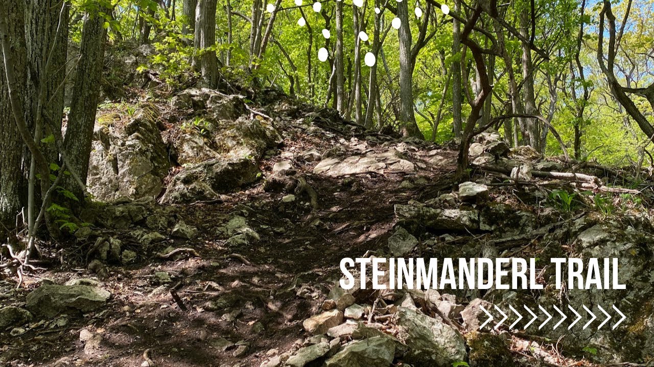 Steinmanderl Trail | MTB Area Anninger | 30.04.2022