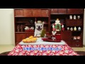 めちゃコミック めちゃ犬間違え探し編