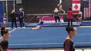 Level 8 Floor Brestyans invitational Tufts