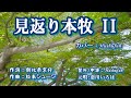 見返り本牧II /恋川いろは  (歌詞中譯) カバー:胡淑芳   發行年月:2023.05.10