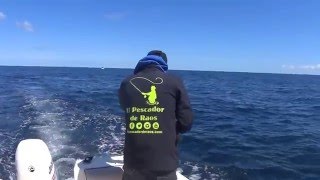 Pesca lubina a jigging cantabria