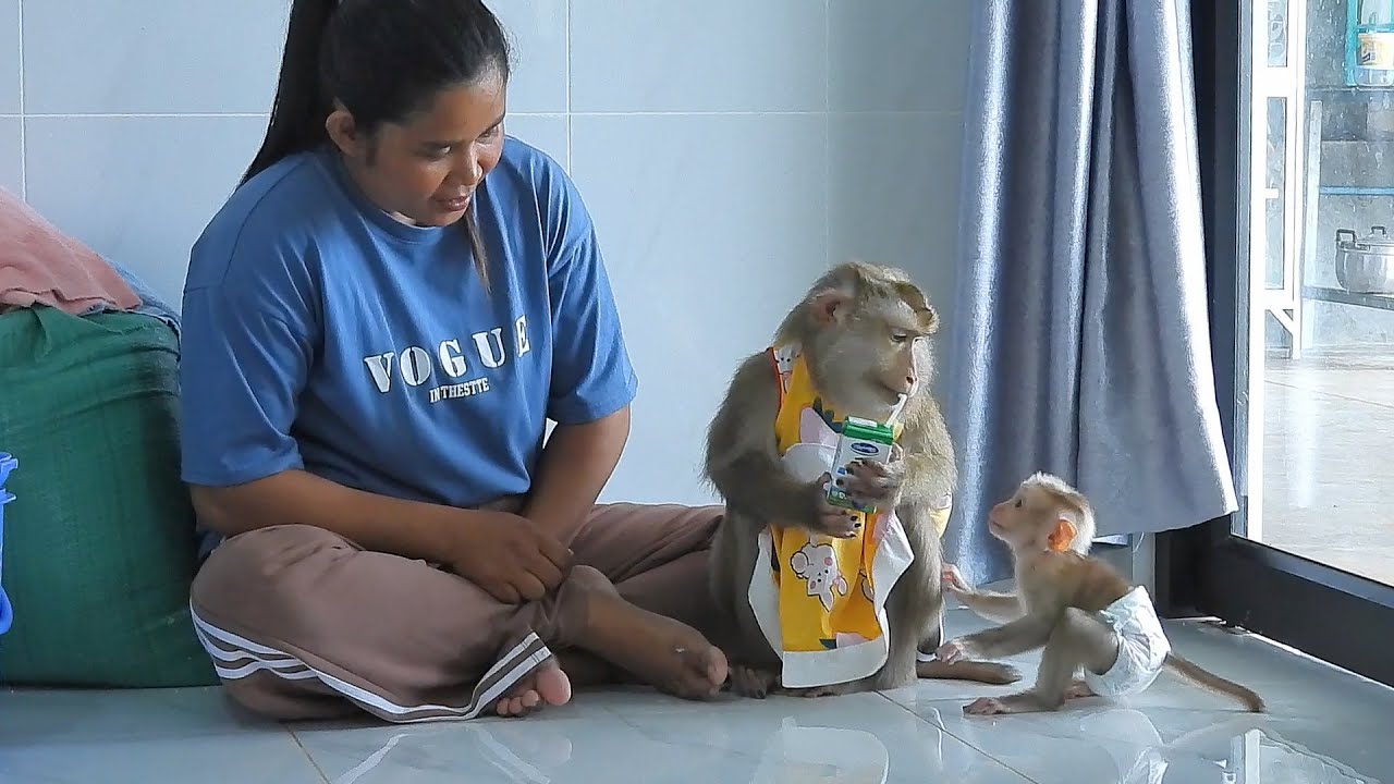 Baby Luka Requesting Milk From Mommy Luna