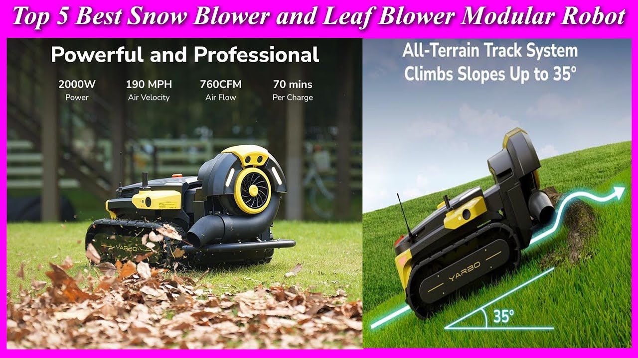 Top 5 Best High Quality Snow Blower and Leaf Blower | You Can Buy it