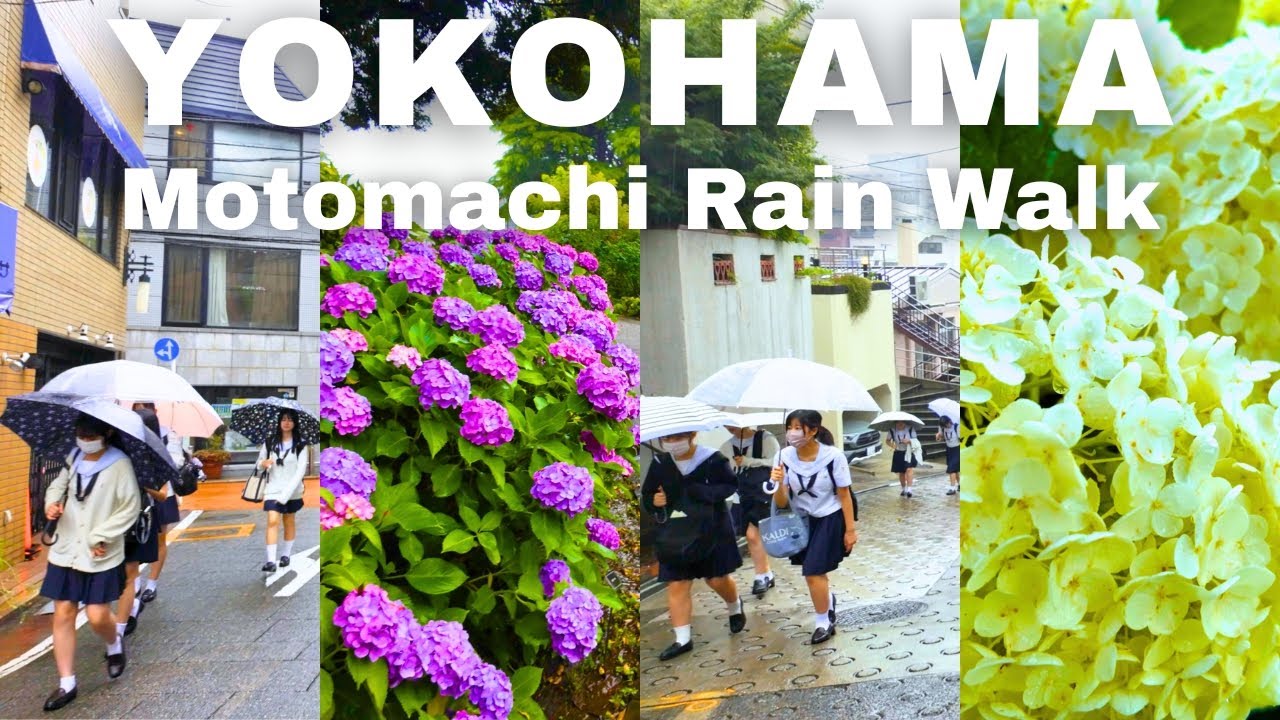 【4K HDR🇯🇵】Morning walk in Motomachi and Yamate, Yokohama, where a gentle rain is falling