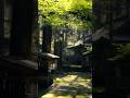 穴森神社/大分