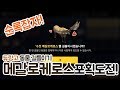 [듀랑고] 순록(수컷 메갈로케로스) 포획도전!!/KingdoiBOX 깅도이