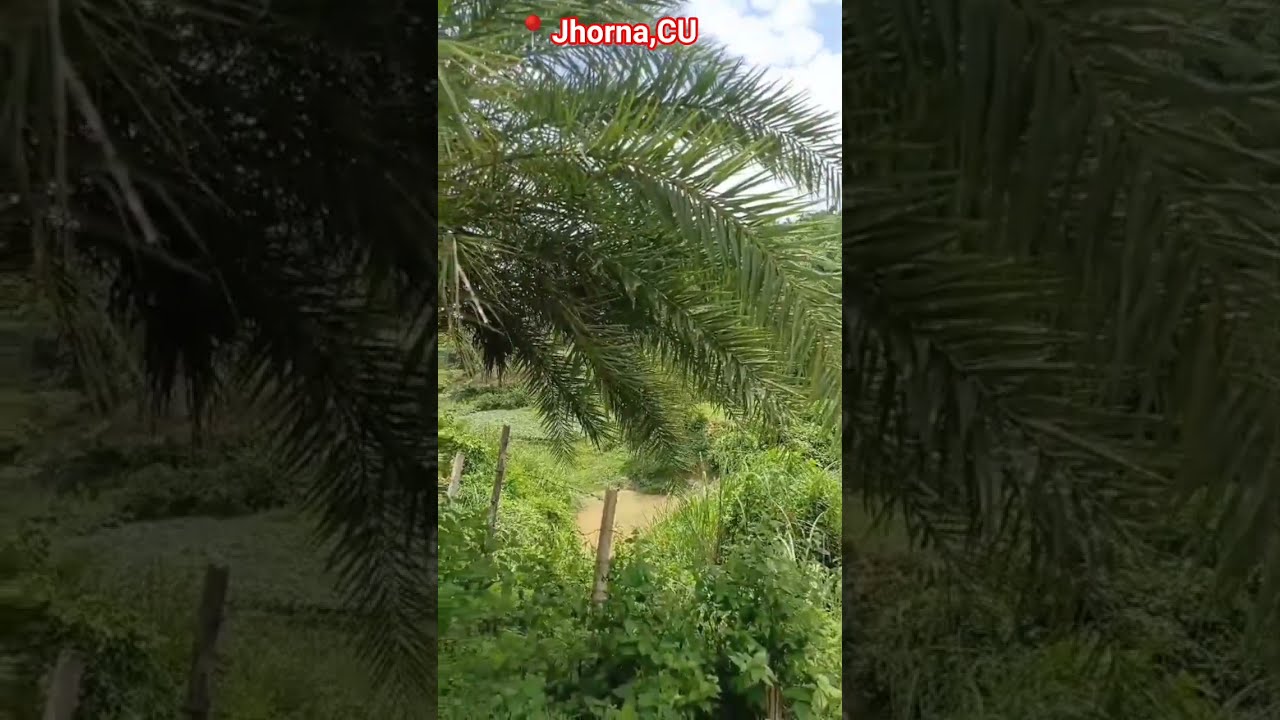 Somewhere Aesthetic Greenery View In Cu Anas Travel Jhorna Hills Motivation Dream Music