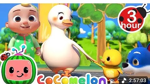 "10 Shocking Traffic Secrets They DON