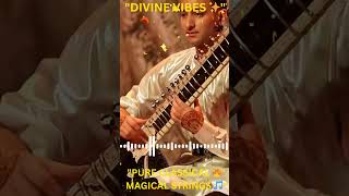 Divine Sitar Vibes ✨ | Pure Indian Classical Music #shorts #ytshorts @rahulshankar1663 #sitar