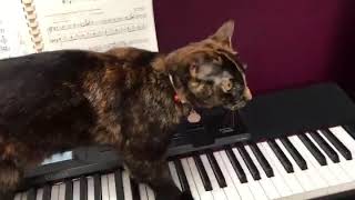 Purrfect Harmonies for Piano and Cat • Composed by Hazel Claire Meisel