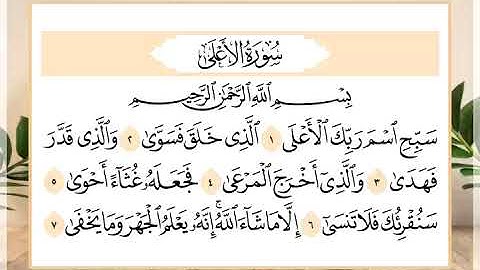 87 سورة الأعلى القارئ الشيخ حسن النخلي