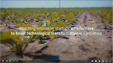 Test Farms - validate your agrifood innovation with farmers