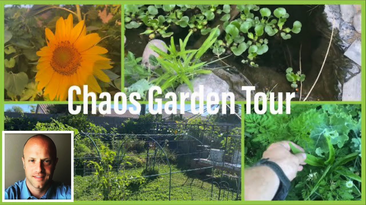 What is Chaos Gardening? Chaos Garden Tour YouTube