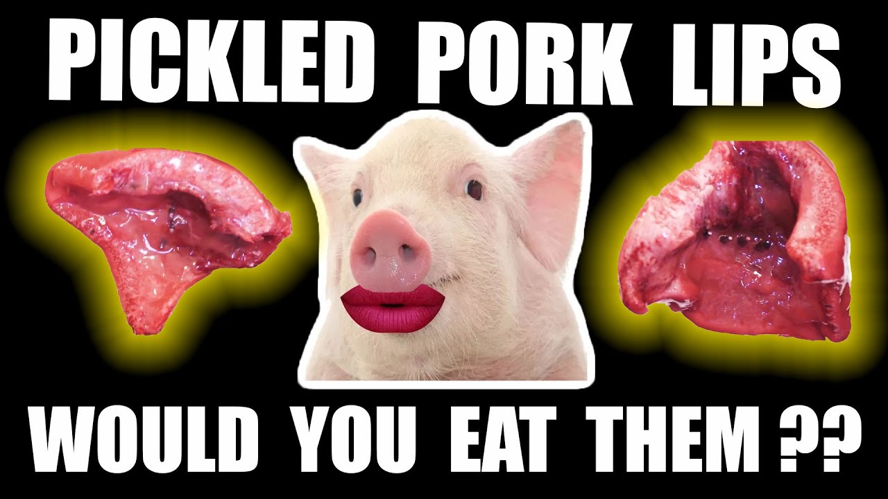 Would You Eat Pickled Pig Lips – Southern Bar Food