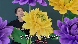 국화꽃축제  -  울산북구청 국화포토존