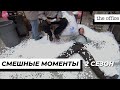 Офис | Смешные Моменты | 2 Сезон 2 Часть