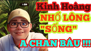 Thám tử Cao clip mới - phân tích vụ Anh Đoàn Văn Báu và Trương Dũng -Thành 000