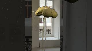 AfK x Heilbronn – Paris als Inspiration: Zeitgenössische Kunst in der Bourse de Commerce #afk #paris