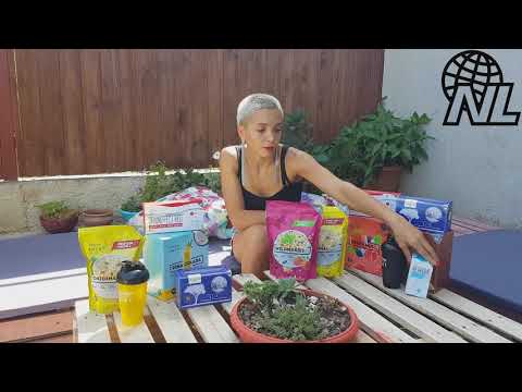 თეონა წიწაკიშვილი NL int.  week program