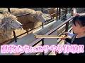 こどもの国に行った日【2026.3】