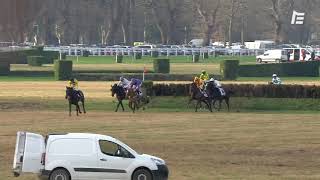 Vidéo de la course PMU PRIX JOSEPH D'ARISTE