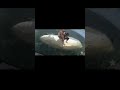 2 people, dog rescued from boat capsized off Florida coast