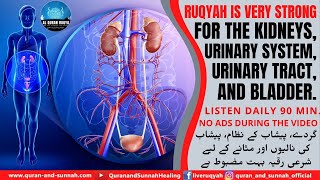 RUQYAH FOR THE KIDNEYS, URINARY SYSTEM, URINARY TRACT \u0026 BLADDER. INSHA ALLAH, YOU WILL BE RELIEVED 🎧