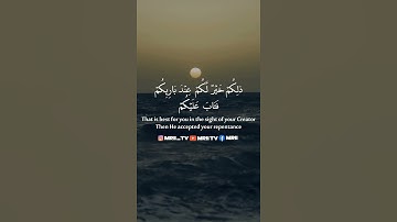 ماهر المعيقلي - سورة البقرة ( برواية حفص عن عاصم ) الأية 54