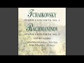 Miniature de la vidéo de la chanson Piano Concerto No. 3 In D Minor: I. Allegro Ma Non Tanto