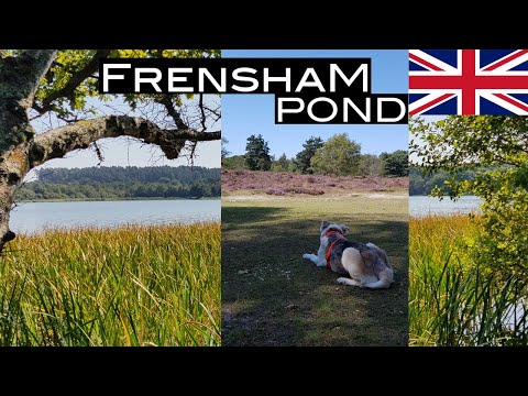 FRENSHAM POND