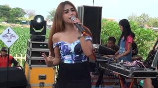 NEW LADIES ROYAL- CINTA TERLARANG- NAFIS ADARA