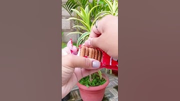 Thumbnail of Parle-G Kismi Biscuit❣ #parleg #ytshorts #shorts #trending #biscuit