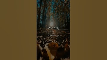 #قرآن #explore #سورة_المؤمنون #اسلام_صبحي