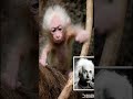 Die Mathematik der Natur: Sieh nur, wie sehr ich dich liebe!!! #wildlife Ruhiges Wasser Music for Me