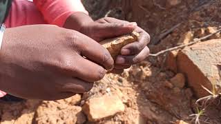 Parent Rock and Soil Formation screenshot 5