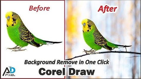 Background Remove in Corel Draw in One Click | corel draw me background kaise hataye | Adpixel