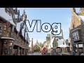 【VLOG】初USJ！ハリーポッターが予想以上に最高だった【USJ】