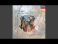 J S Bach Orchestral Suite No 2 In B Minor BWV 1067 III Sarabande mp3