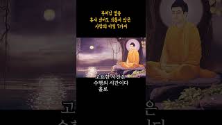 부처님 말씀 혼자 있어도 외롭지 않은 사람의 비밀 7가지#부처님말씀#외로움#불교명언#마음공부#혼자있는법#고독의지혜#불교쇼츠#힐링영상#내면의평화#명상##짧은명언#유튜브쇼츠#고요삶