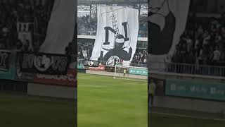 Forza Neftçi fans