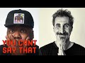 Serj Tankian - Your Mom Reaction