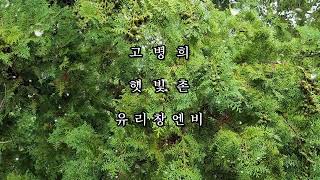 고병희 햇빛촌 유리창엔 비