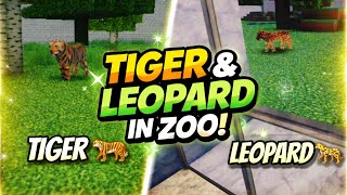 Tiger Territory Aur Leopard Area Tour #MinecraftZoo #MinecraftBuild 