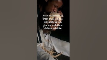 story wa ikspi kera sakti terbaru #shorts #ikspi #srikandiikspi #storywaikspi #ikspipusatmadiun