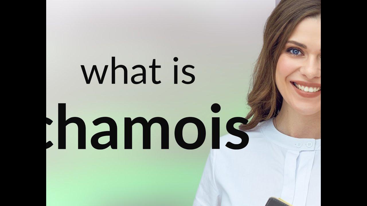 Chamois • definition of CHAMOIS YouTube